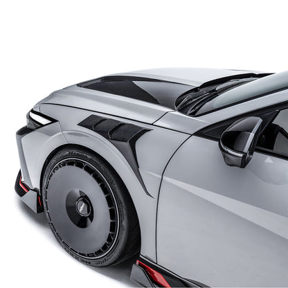HYUNDAI ELANTRA N (FINAL EDITION) CARBON FIBER FRONT FENDERS